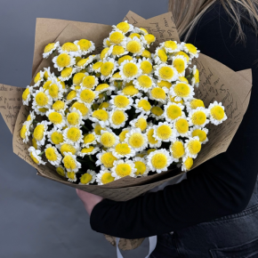 Букет "Моё солнышко" из 11 хризантем сантини  в Сергиевом Посаде