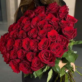 Букет 51 роза Эквадор Эксплорер (70 см) в Сергиевом Посаде