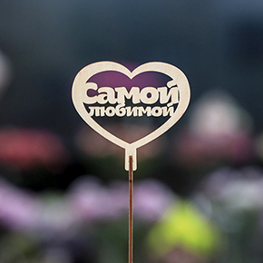 Топпер Самой Любимой в Сергиевом Посаде