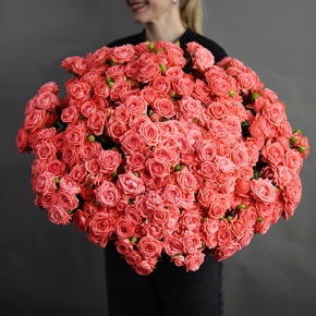 Букет из 39 коралловых кустовых роз (50 см) в Сергиевом Посаде
