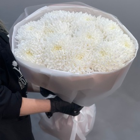 Букет из 11 белых хризантем  в Сергиевом Посаде