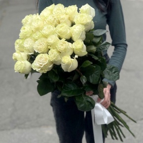 Монобукет из 25 роз Эквадор Мондиаль (80 см) в Сергиевом Посаде