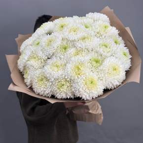 Букет из 27 хризантем Магнум в Сергиевом Посаде