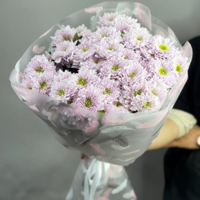 Букет "Нежный комплимент" из 9 кустовых хризантем в Сергиевом Посаде