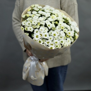 Букет "Милая моя" из 17 хризантем сантини в Сергиевом Посаде