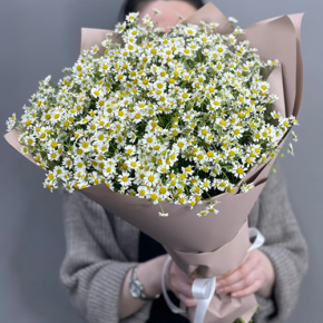 Букет из 17 полевых ромашек в Сергиевом Посаде