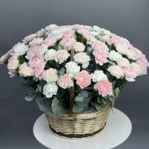Композиция в корзине из 101 диантуса микс в Сергиевом Посаде