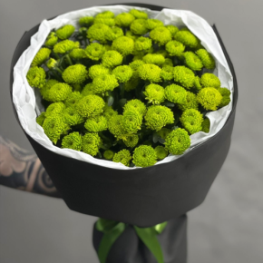 Стильный букет "Лайм" из 15 хризантем сантини в Сергиевом Посаде