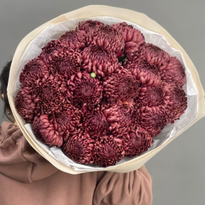 Букет 21 шоколадной хризантемы Бигоуди в Сергиевом Посаде