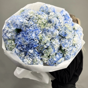 Букет из 23 синих гортензий в Сергиевом Посаде