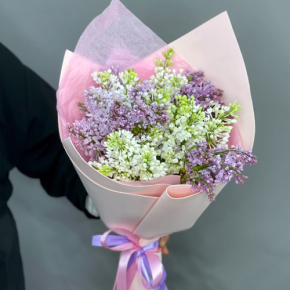 Букет из 11 веток сирени микс в Сергиевом Посаде