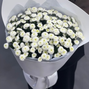 Букет "Белая дымка" из 25 хризантем сантини в Сергиевом Посаде