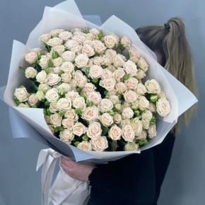 Букет из 25 кремовых кустовых роз (70 см) в Сергиевом Посаде