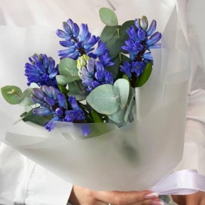 Букет "Мини" из 5 ароматных гиацинтов и эвкалипта в Сергиевом Посаде