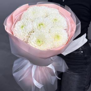 Нежный букет из 7 хризантем Магнум в Сергиевом Посаде