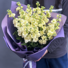 Букет из 15 лимонных маттиол в Сергиевом Посаде