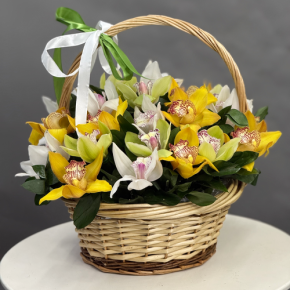 Композиция в корзине из 25 орхидей микс в Сергиевом Посаде