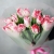 Букет "Фламинго" из 11 пионовидных тюльпанов в Сергиевом Посаде