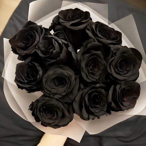 Букет "Черная королева" из 11 черных роз Эквадор (60 см) в Сергиевом Посаде