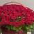 Композиция в корзине из 151 красной розы в Сергиевом Посаде