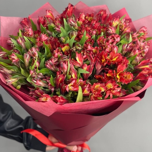 Монобукет из 25 красных альстромерий в Сергиевом Посаде