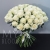 Букет 75 белых роз Эквадор Мондиаль (80 см) в Сергиевом Посаде
