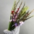 Букет из 25 гладиолусов микс в Сергиевом Посаде