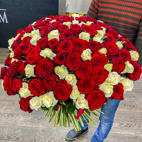 Букет 151 роза красный и белый микс (60 см) в Сергиевом Посаде
