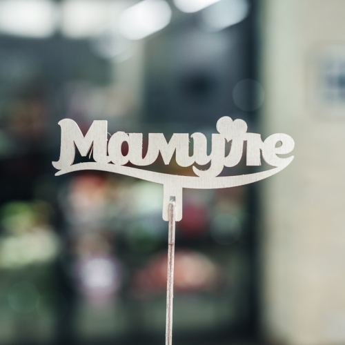 Топпер Мамуле в Сергиевом Посаде