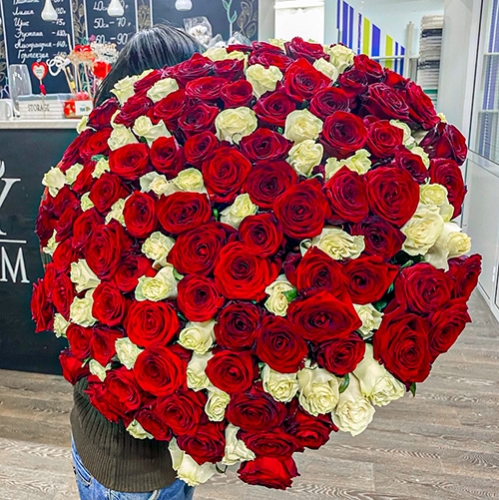 Букет 151 роза красный и белый микс (60 см) в Сергиевом Посаде