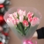 Букет "Фламинго" из 11 пионовидных тюльпанов в Сергиевом Посаде