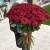 Букет из 101 красной розы (90 см) в Сергиевом Посаде
