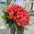 Букет 51 роза коралл (60 см) в Сергиевом Посаде Букет 51 роза коралл (60 см) в Сергиевом Посаде