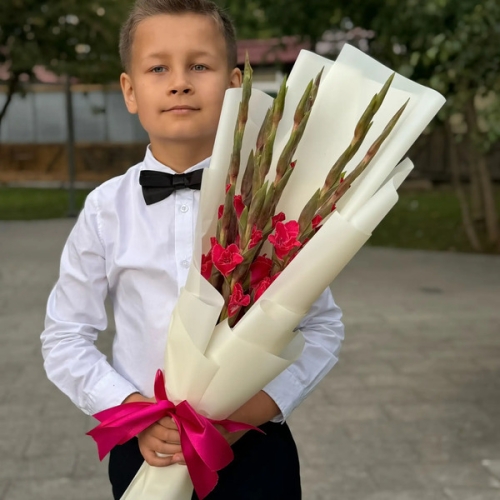 Букет на 1 сентября из 7 малиновых гладиолусов в Сергиевом Посаде